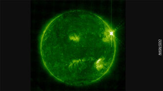 Video: X-flare Erupts on the Sun