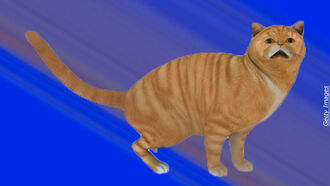 Giant 3D Cat Comes to Life on Tokyo Billboard