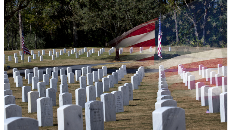 Veterans Cemetery on Veterans Day