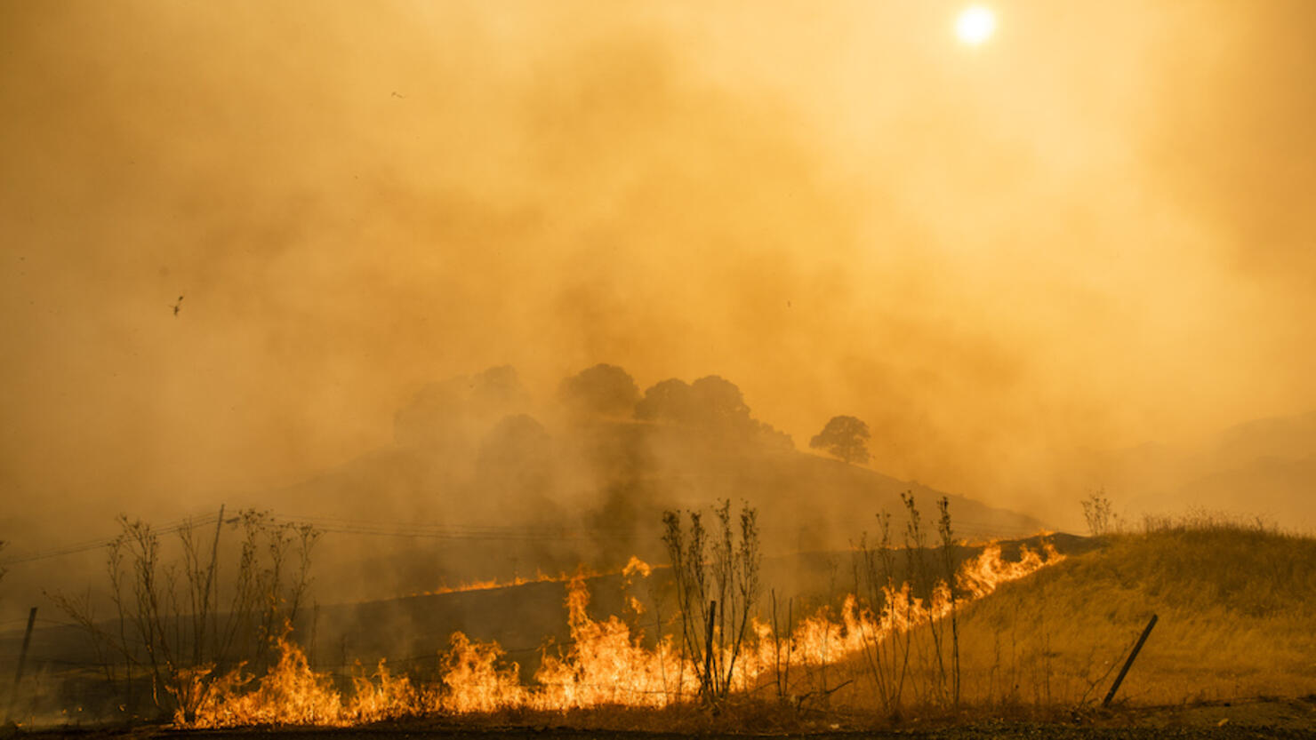 California Wildfires