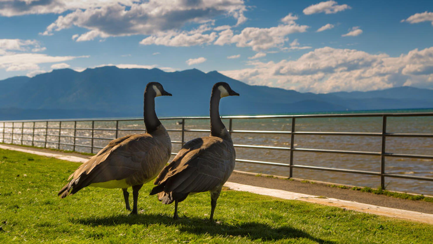 Lake Tahoe Feels Effects of Drought