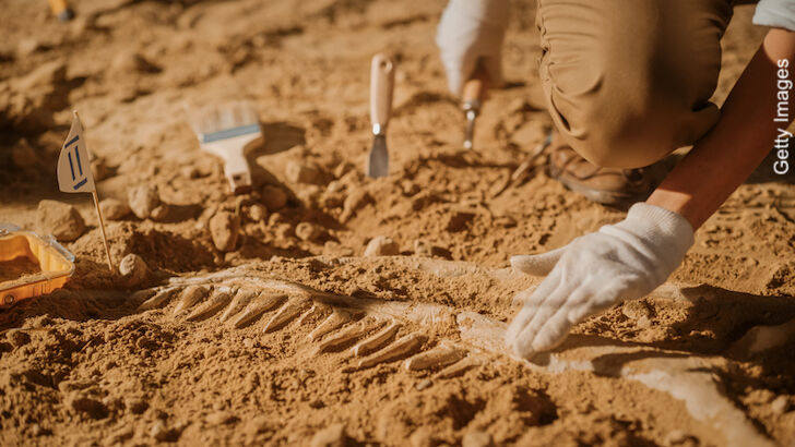 Forbidden Archaeology / Shamanic Journeys