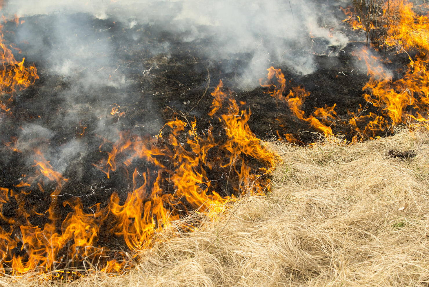Prairie fire