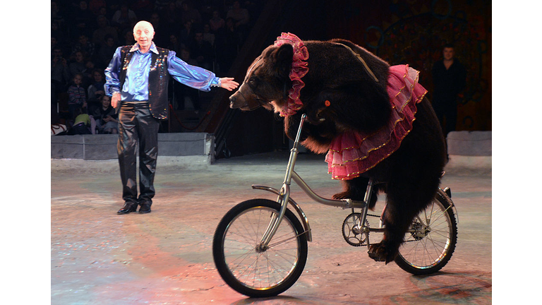 UKRAINE-CIRCUS-FEATURES