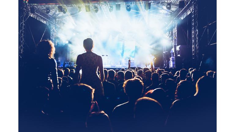 cheering crowd at rock concert