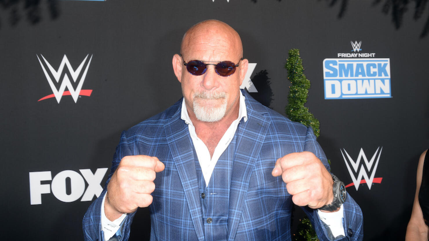 WWE 20th Anniversary Celebration Marking Premiere Of WWE Friday Night SmackDown On FOX