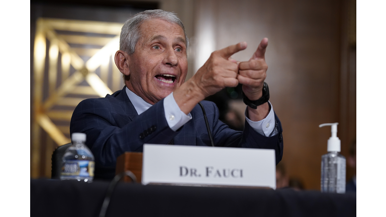 Dr. Fauci Testifies To Senate Health Committee On Country's COVID-19 Response