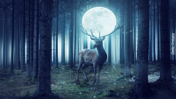 UFO Visitations / Hat Man