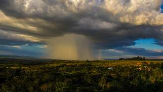 'Like A Hurricane': Nevada Residents Shaken After Microbursts Hit The Area