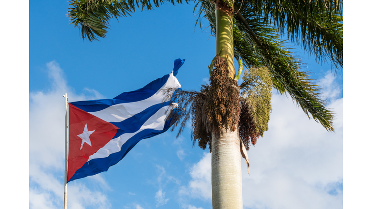 Cuban symbols, the National Flag and a Royal Palm tree