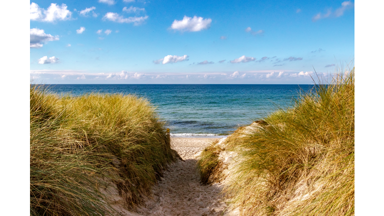 Coastline at Western Pomerania Lagoon Area National Park, Mecklenburg-Western Pomerania, Germany