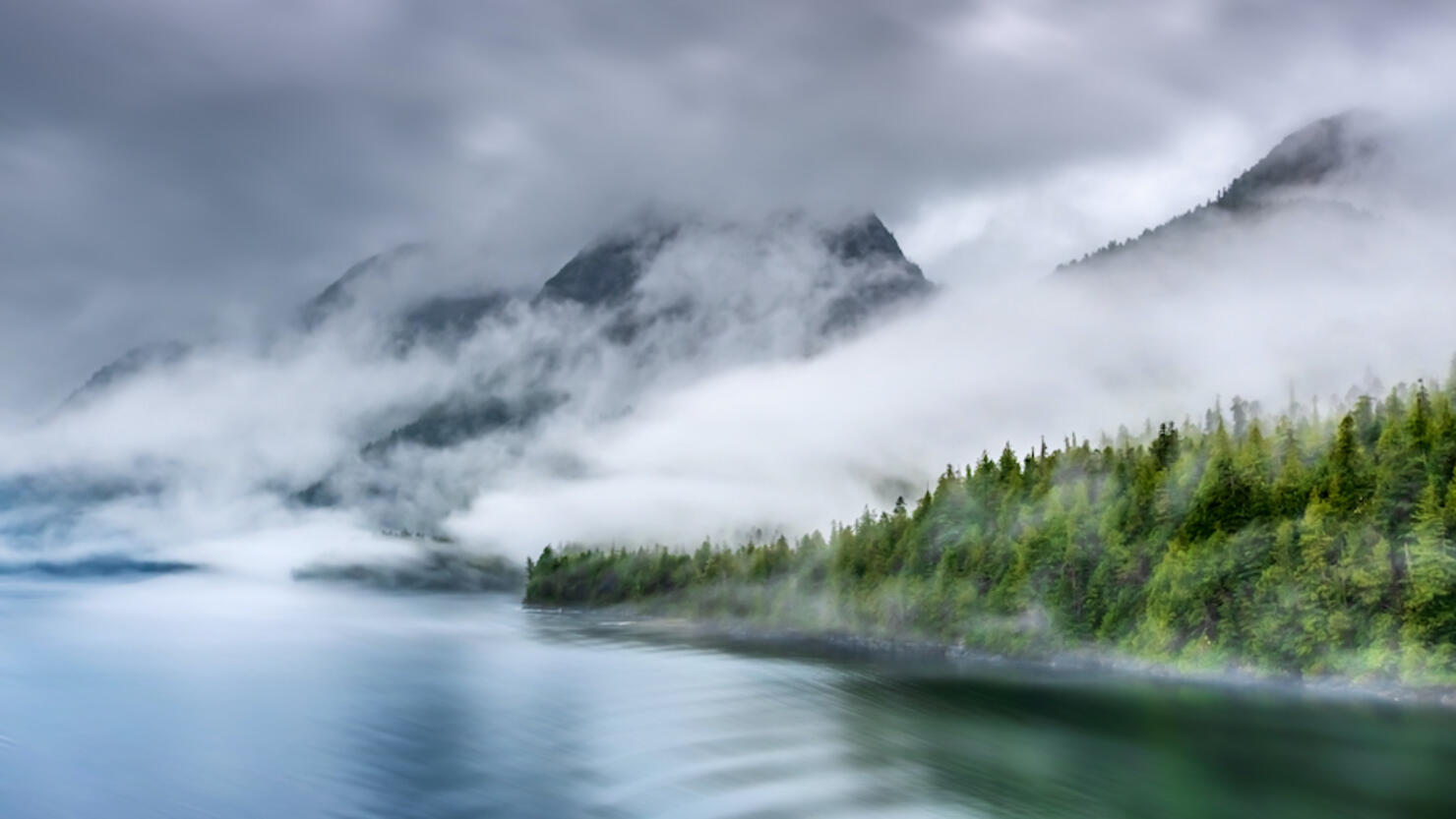 Misty Fjord Shoreline, Alaska