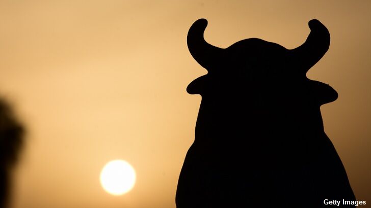 Watch: Strange Tailless Mystery Creature Filmed in Vancouver Backyard