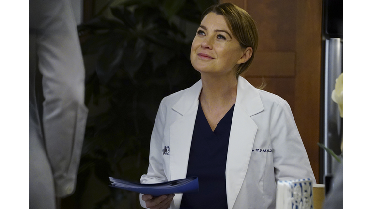 ABC's "Grey's Anatomy" - Season Thirteen