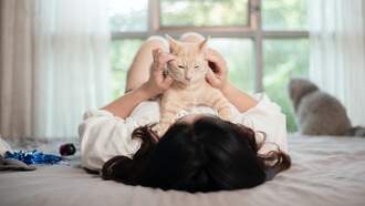 1 Nevada City Among The Best Cities For Cat Lovers