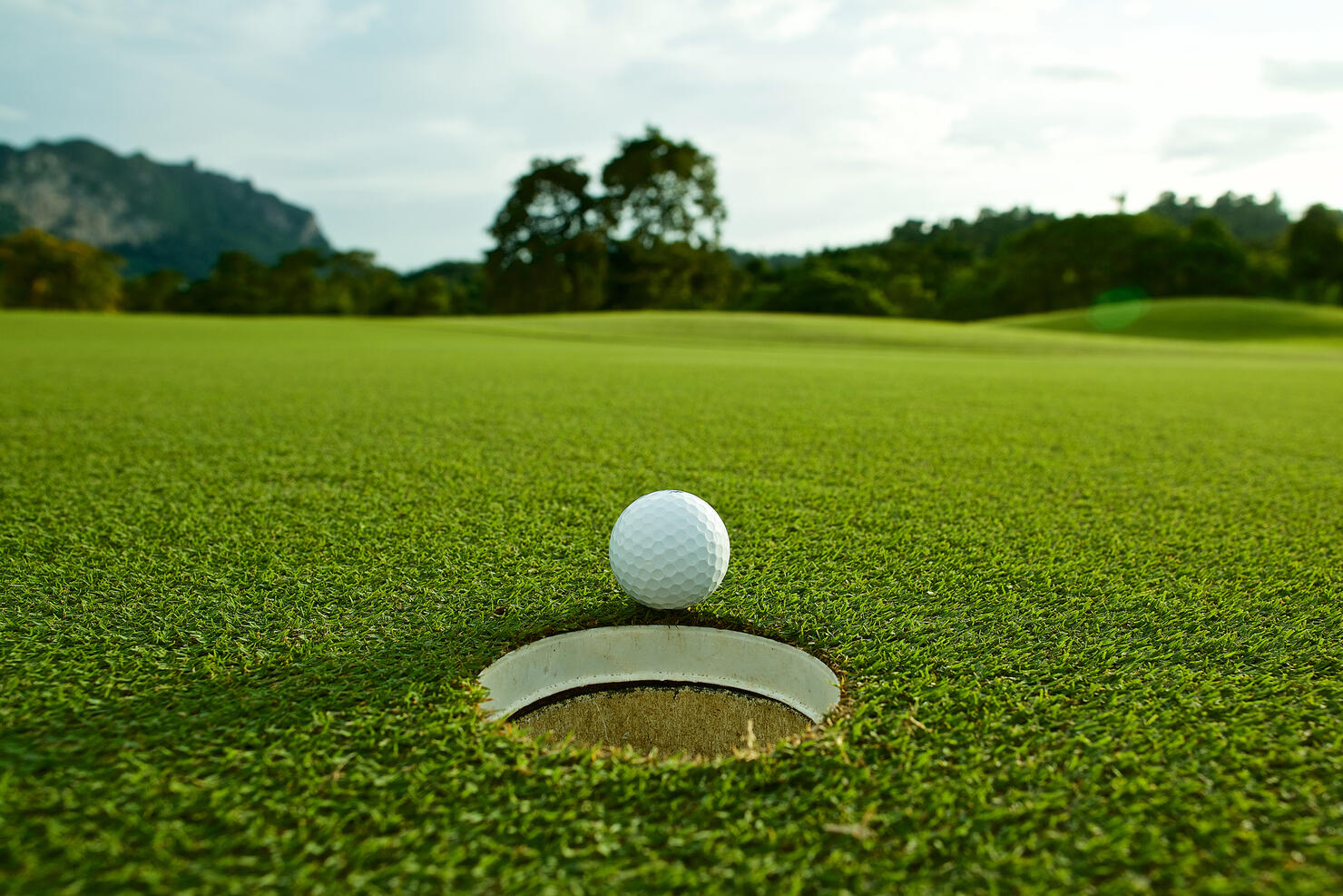 Surface Level Of Golf Course