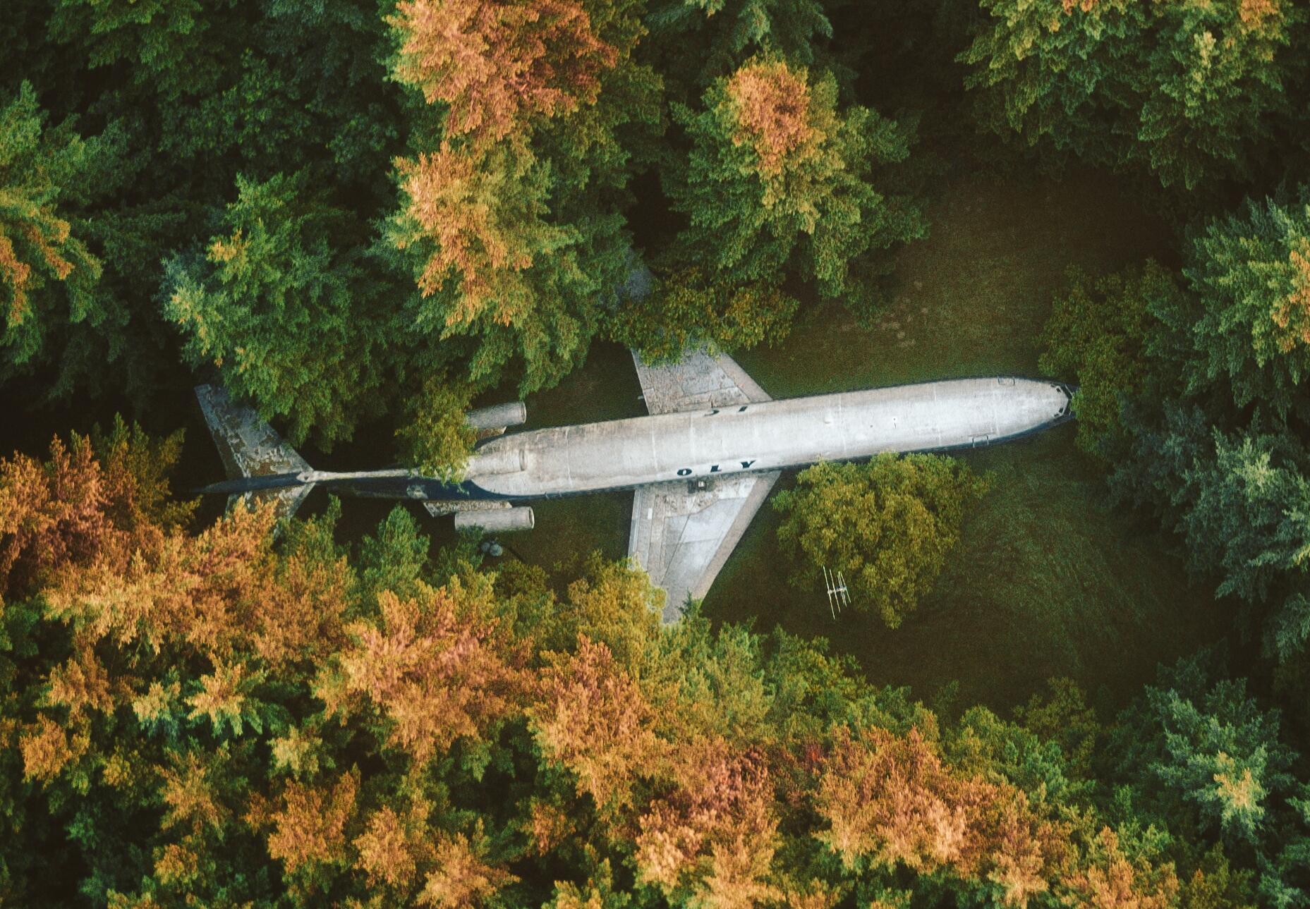 this-oregon-man-lives-in-an-airplane-in-the-woods-and-made-it-comfy