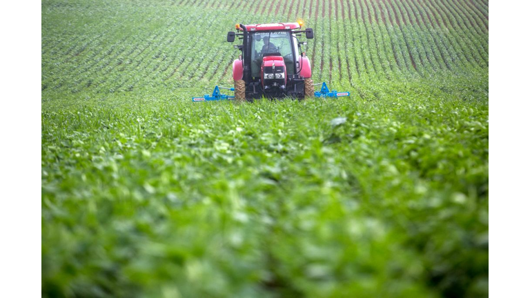 FRANCE-AGRICULTURE-SOYA-NUTRITION-HEALTH