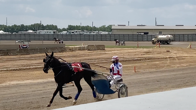 Ross County Fair 2021