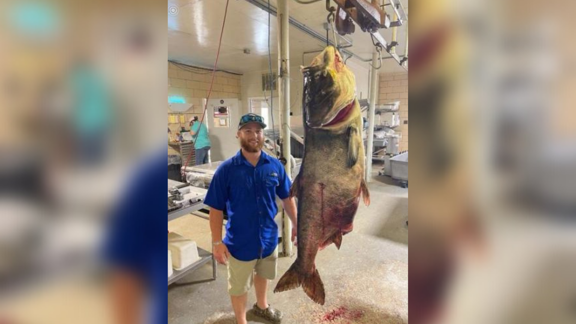Missouri Bow Fisherman Sets New Record By Catching 125-Pound Fish