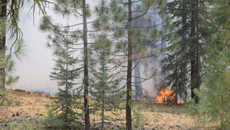 California Fires May Have Been Deliberately Set By This College Professor