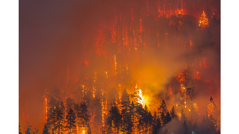 Columbia River Gorge Fire