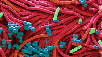 Knapp's News 8/15/21