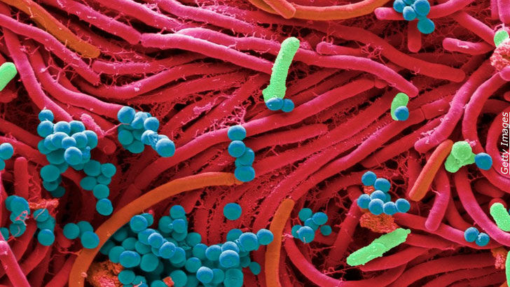 Knapp's News 8/15/21