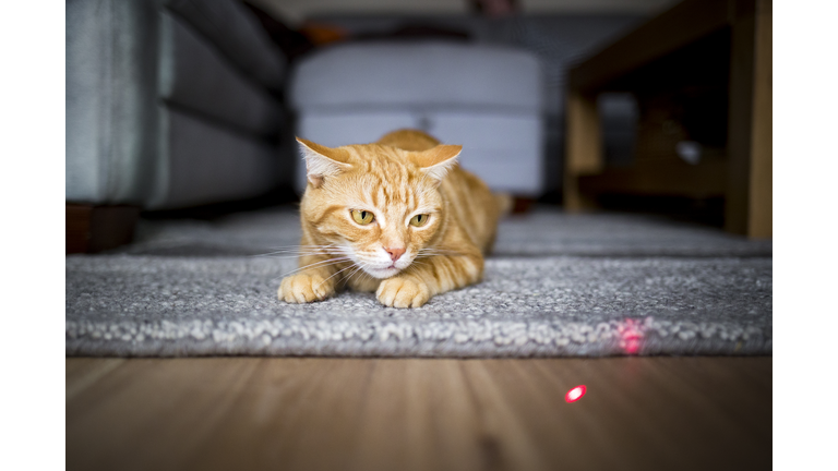 Hunting the dot