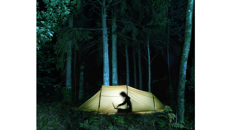 Woman in tent using laptop computer, silhouette