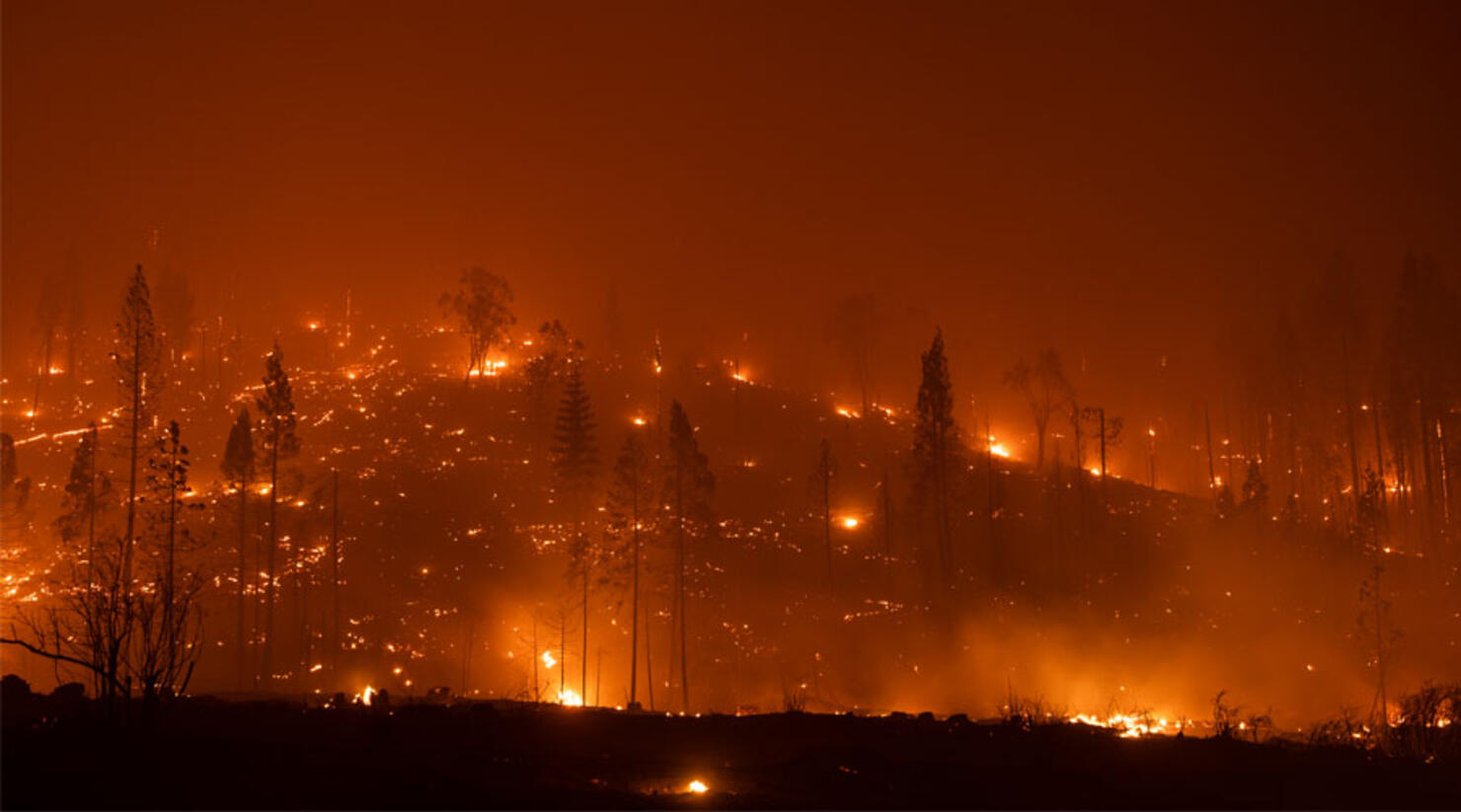 Northern California Wildfire Doubles In Size Overnight, Thousands ...