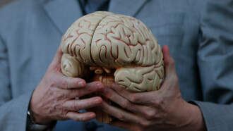 Regular Body Movement Helps Care for Our Brains