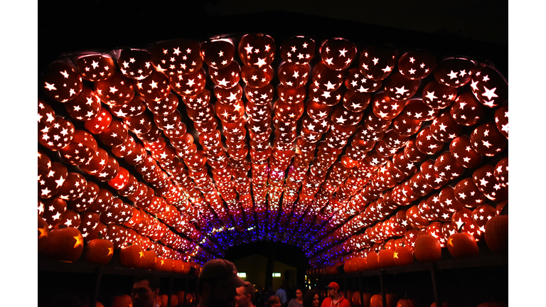 US-HALLOWEEN-FEATURE-GREAT JACK O'LANTERN BLAZE