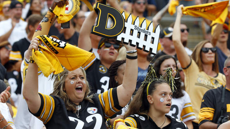 Viral Fight At Steelers Game Leads To Police Investigation | Magic 101.