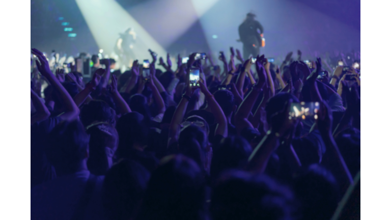 Crowd Enjoying At Music Concert