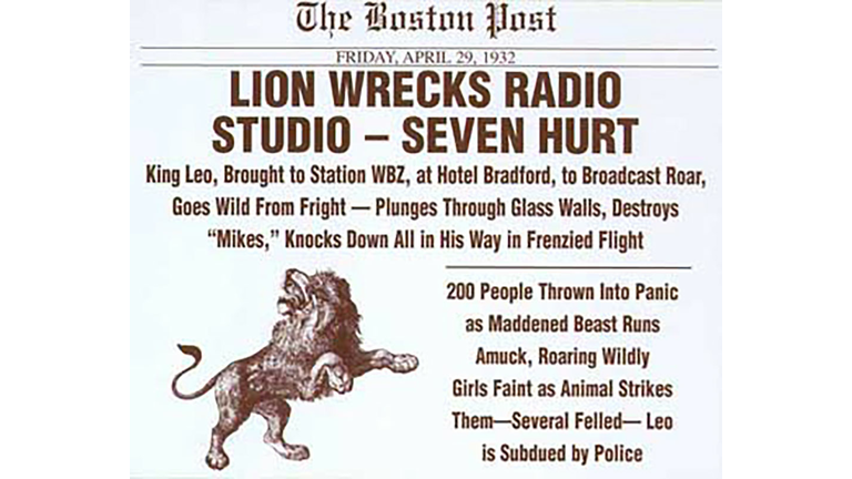 Lion Unleashed In WBZ Studio