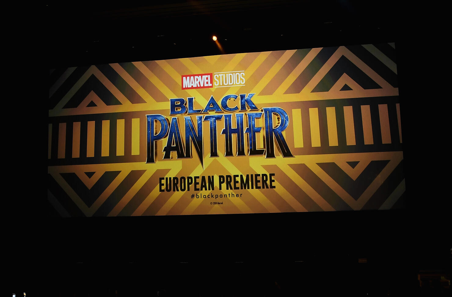 European Premiere Of Marvel Studios' Black Panther