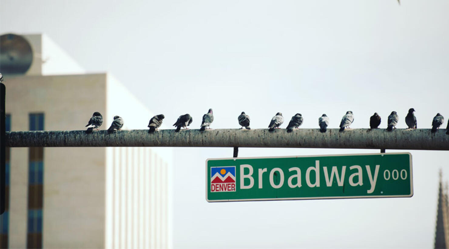 Denver's Iconic Sports Castle Sold, Developers Plan To Renovate iHeart