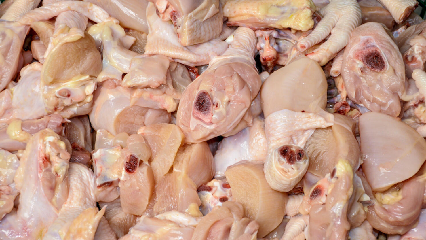 Full Frame Shot Of Fresh Chicken In Container On Table