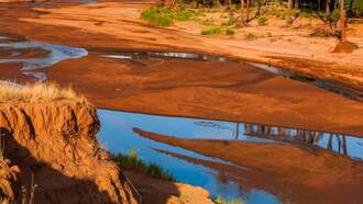 Some Parts Of Rio Grande River Reduced To Puddles Despite Monsoon Rains