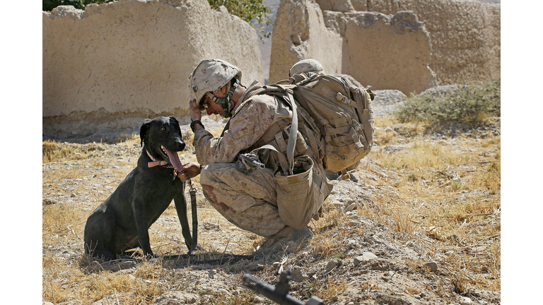 US Marines Patrol Remote Part Of Helmand Province Near Kajaki Dam