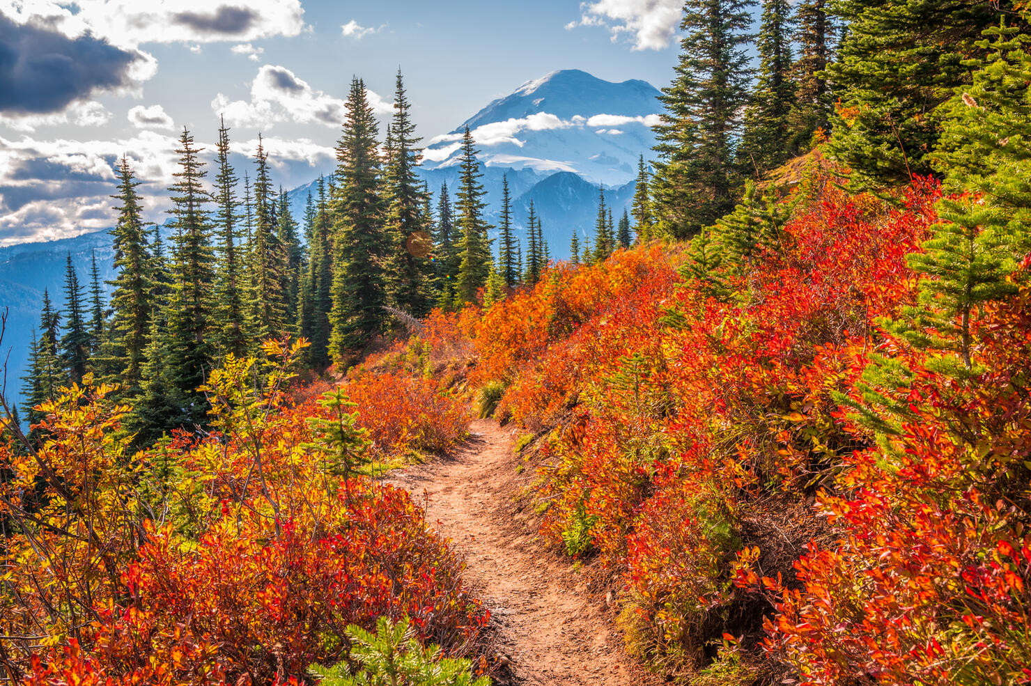 Mt Rainier Fall Foliage