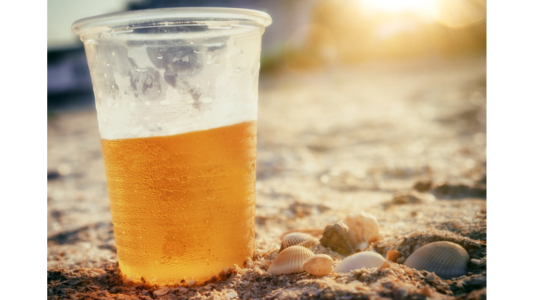 Cold Beer On Beach Sand With Seashells Party Summer Beach Sunset