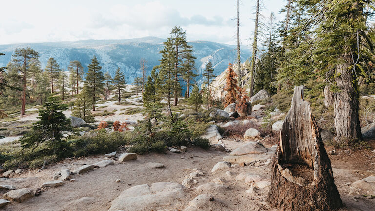 Trails to Taft Point, Yosemite National park