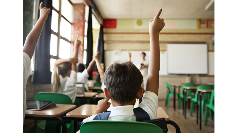 Rear view of boy with raised hand in class