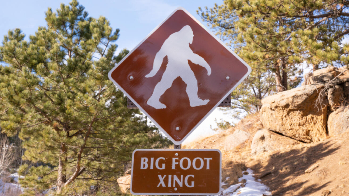 North Carolina Bigfoot Festival Postponed Until 2022 iHeart