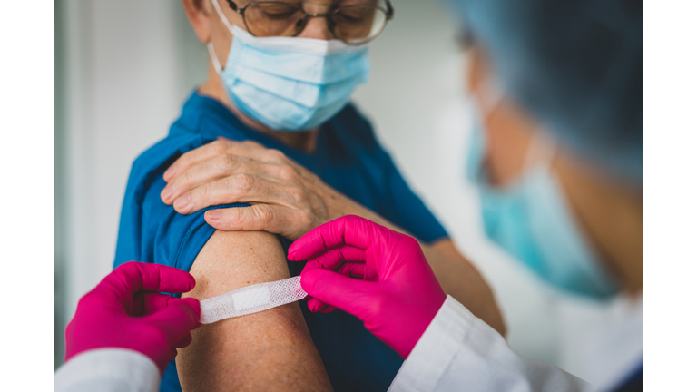 Doctor giving first aid bandage after vaccination to senior woman