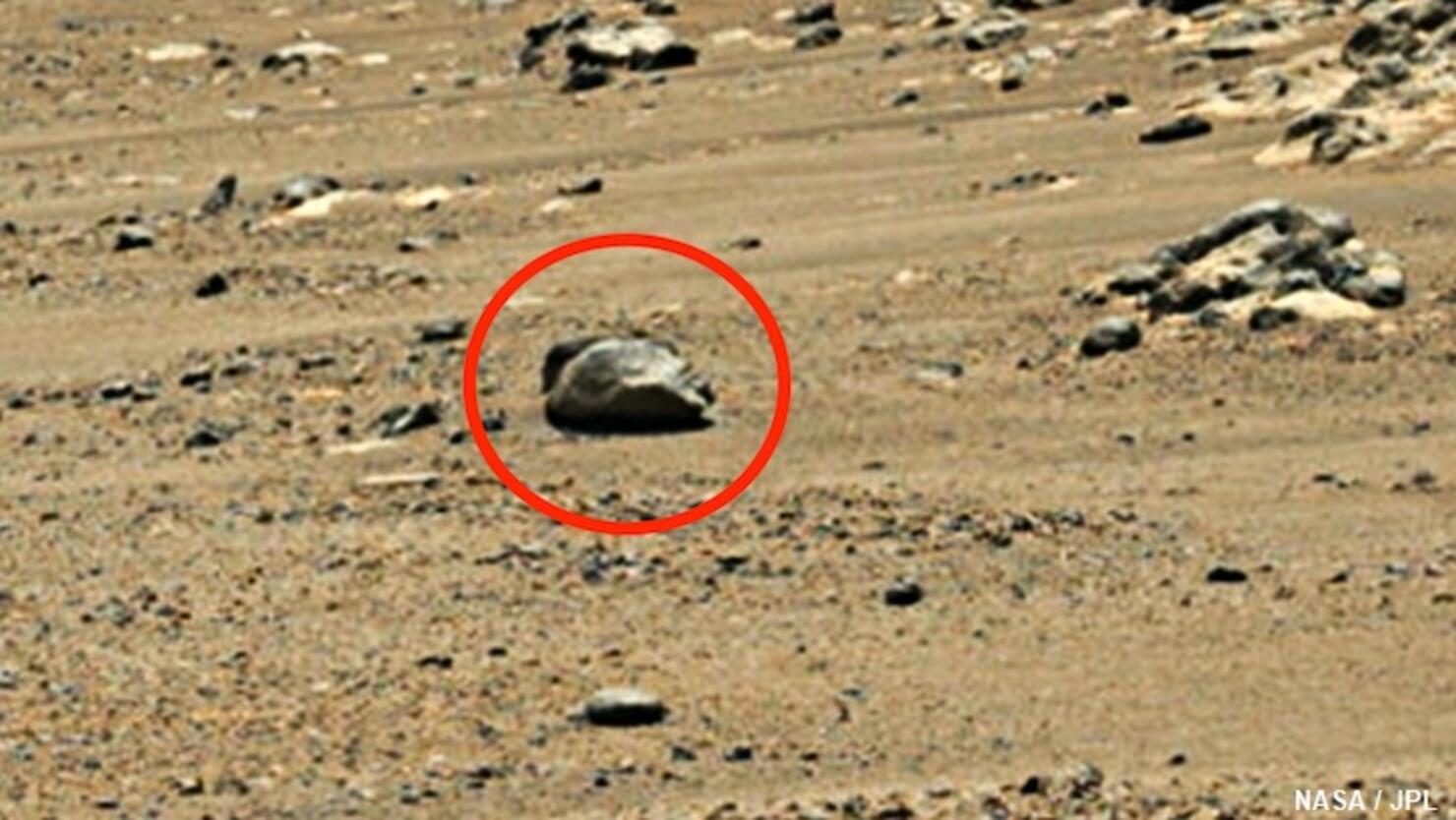 Alien Statue Head' Spotted on Mars | iHeart