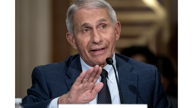 Dr. Fauci Testifies To Senate Health Committee On Country's COVID-19 Response