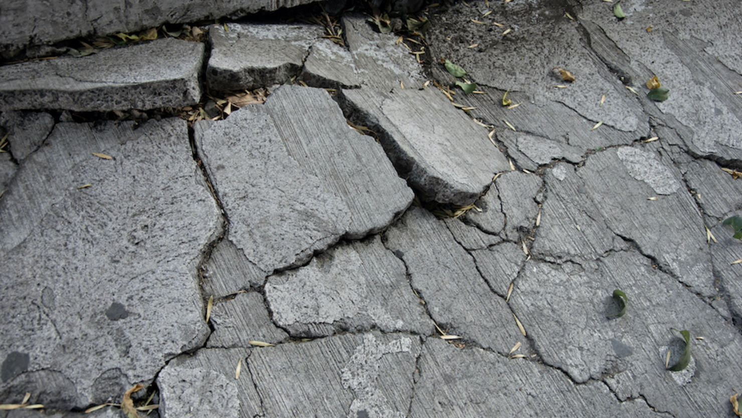 Severely cracked and lifted concrete footpath